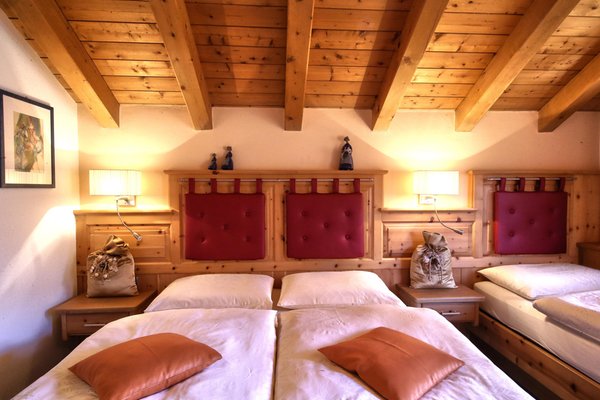 Photo of the room Appartements Loretta
