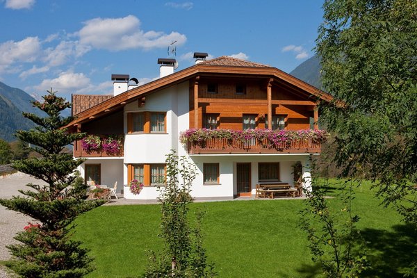 Foto esterno in estate Bäckhof