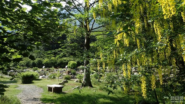 Photo of the garden Oropa (Biella Alps)