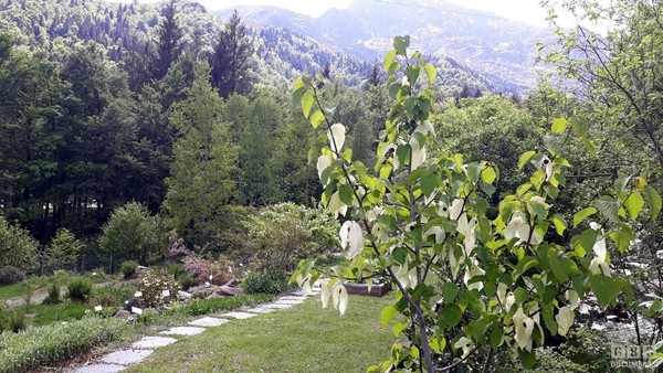 Foto vom Garten Oropa (Alpen von Biella)