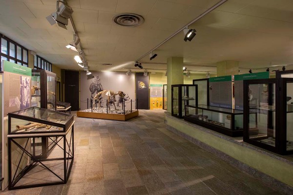 Museum di Archeologia e Paleontologia Carlo Conti Alpen von Vercelli