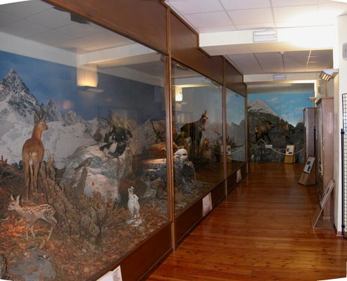 Foto di presentazione Museo Naturalistico del fiume Po