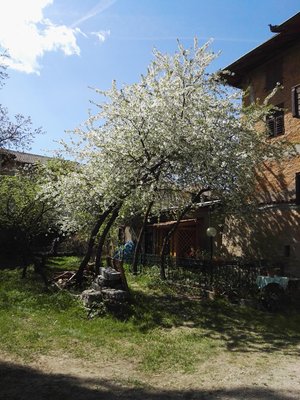 Foto vom Garten Romeno (Fondo - Mendola)
