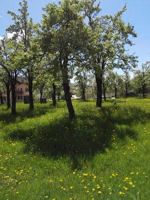 Foto vom Garten Romeno (Fondo - Mendola)