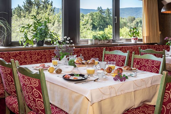 La colazione Hotel Wiedenhofer