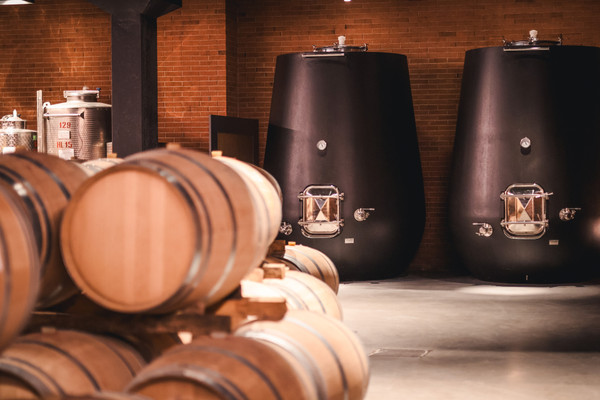 Wine cellar Gattinara (Valsesia Monterosa) Travaglini