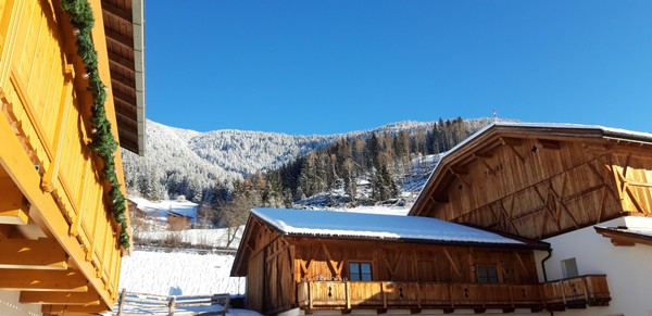 Foto esterno Pensione Moarhof