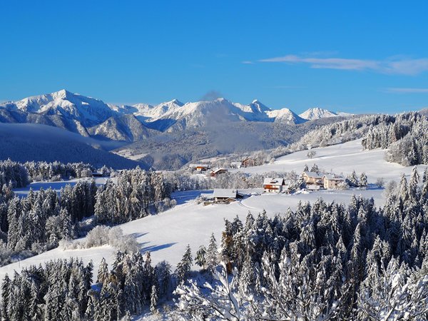 Photo gallery winter