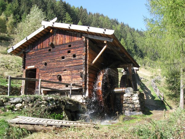 Bildergalerie Sommer