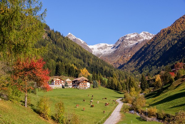 Foto esterno Appartamenti in agriturismo Alpegger