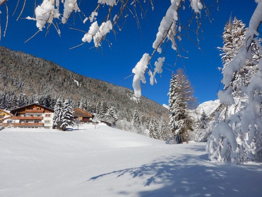 Foto esterno Appartamenti in agriturismo Alpegger