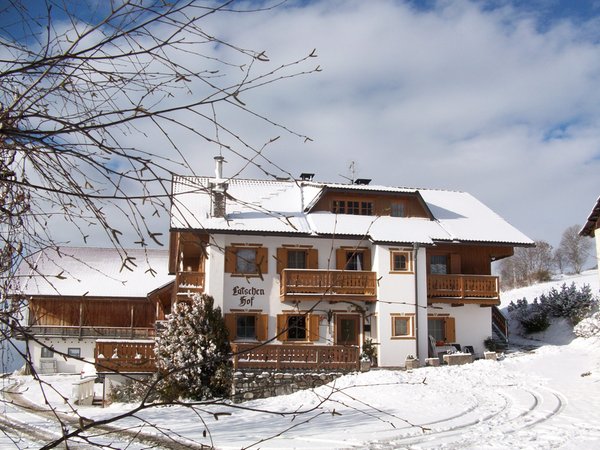 Winter Präsentationsbild Latschenhof - Ferienwohnungen auf dem Bauernhof 3 Blumen