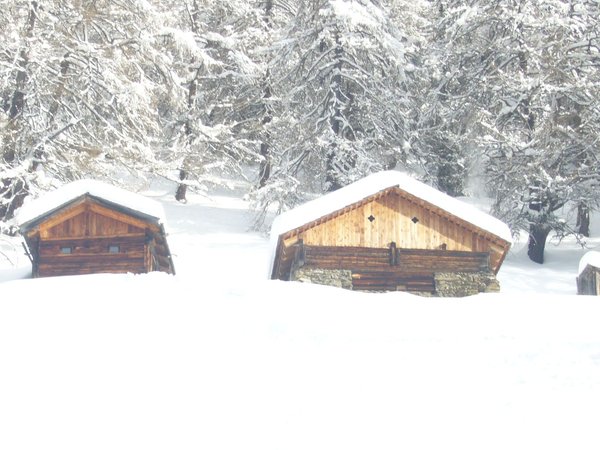 Gallery inverno