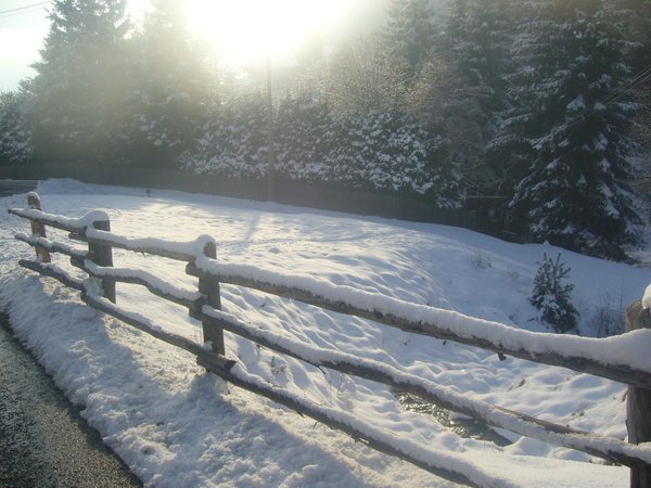 Gallery inverno