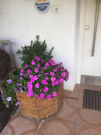 Photo of some details Gasserhof Apartments in Margen
