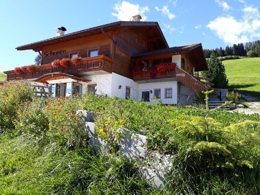 Foto esterno Appartamenti Schupfe