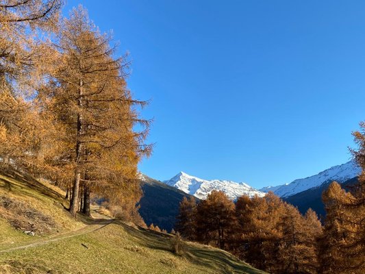 Aussicht Valfurva - S. Caterina (Bormio und Umgebung)