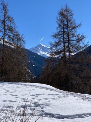 Bildergalerie Winter
