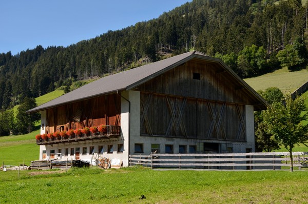 Foto esterno Appartamenti in agriturismo Veiderhof