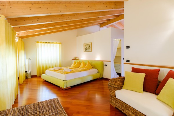 Photo of the room Apartments Leon d'Oro
