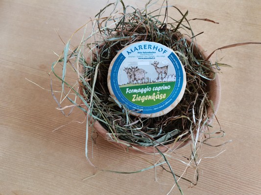 Die Produkte