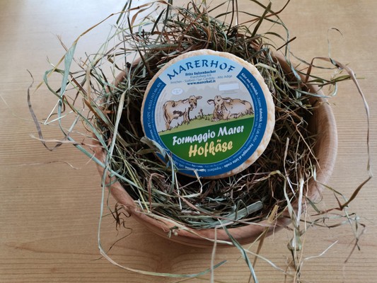 Die Produkte