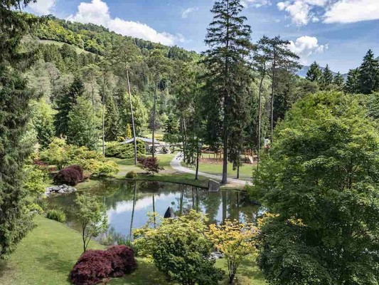 Photo of the garden Stenico