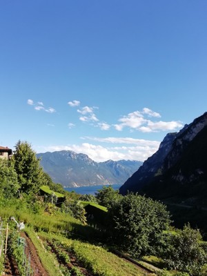 Bildergalerie