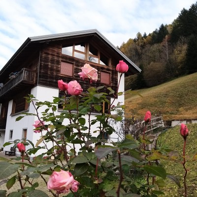 Foto Außenansicht Bed & Breakfast Anna Maria