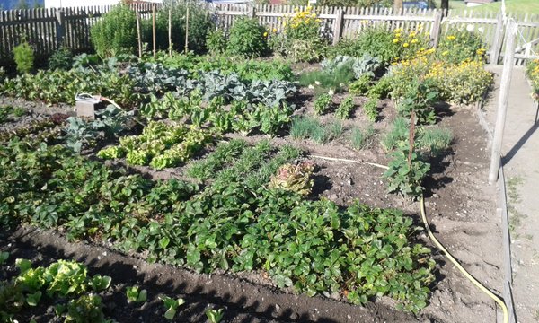 Foto vom Garten Terenten