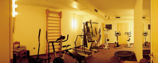Foto della zona fitness Hotel Kristall