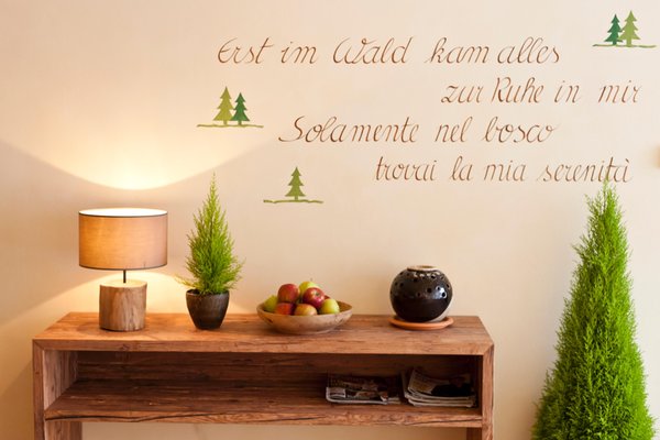 Foto vom Wellness-Bereich Hotel Falken