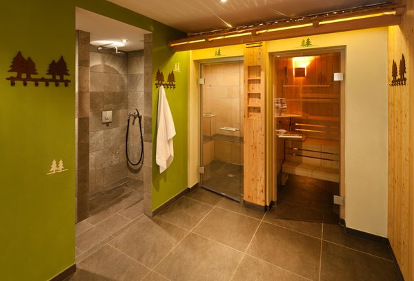 Foto vom Wellness-Bereich Hotel Falken