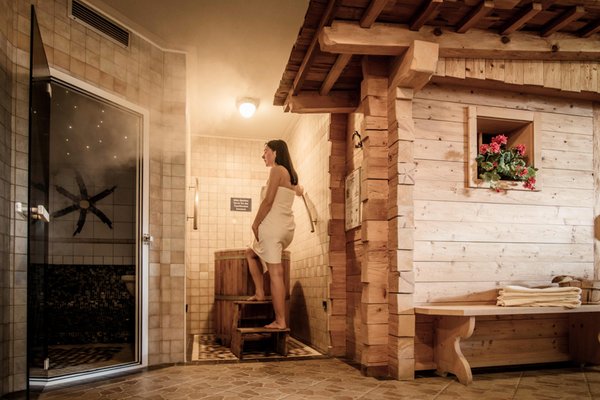 Foto della sauna Falzes