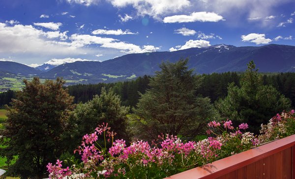 Vista dalla struttura