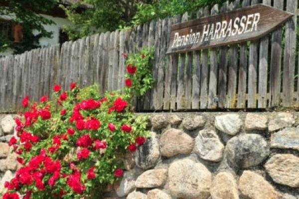 Small hotel Harrasser Brunico / Bruneck and surroundings