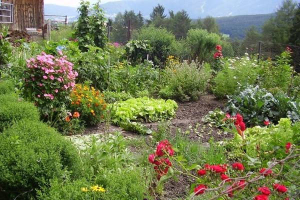 Foto del giardino Falzes