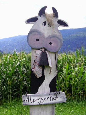 Foto di alcuni dettagli Alpeggerhof