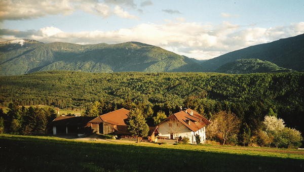 La posizione Appartamenti in agriturismo Alpeggerhof Falzes