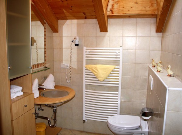 Foto del bagno Appartamenti in agriturismo Gasserhof