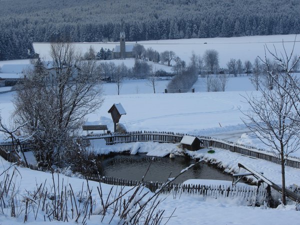 Gallery inverno