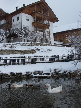 Foto esterno in inverno Gasserhof