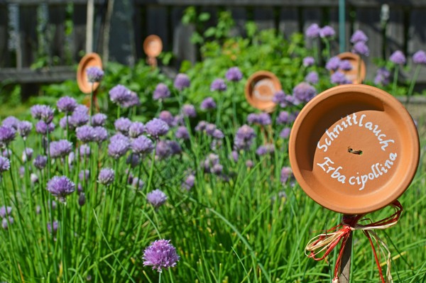 Photo of the garden Falzes / Pfalzen