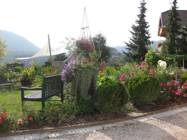 Photo of the garden Issengo / Issing (Falzes / Pfalzen)