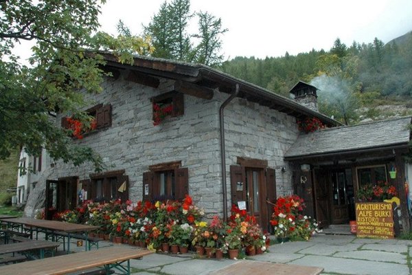 Sommer Präsentationsbild Bauernhof mit Restaurant Alpe Burki