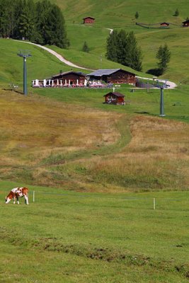 Photo gallery Alpe di Siusi / Seiser Alm summer