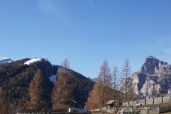 Photo gallery winter