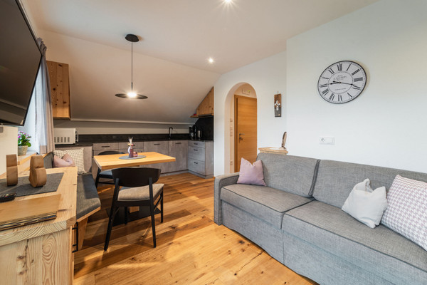 The living area Apartments Messna Living
