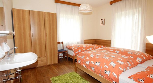 Photo of the room Apartments Iris