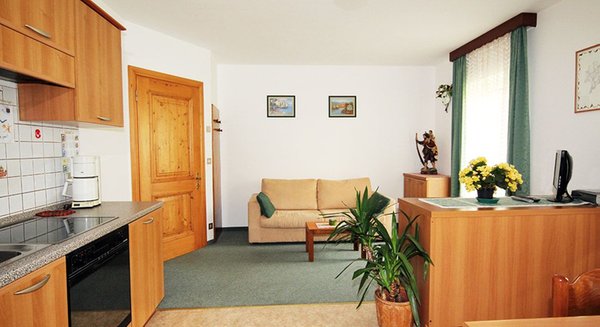 The living area Apartments Iris